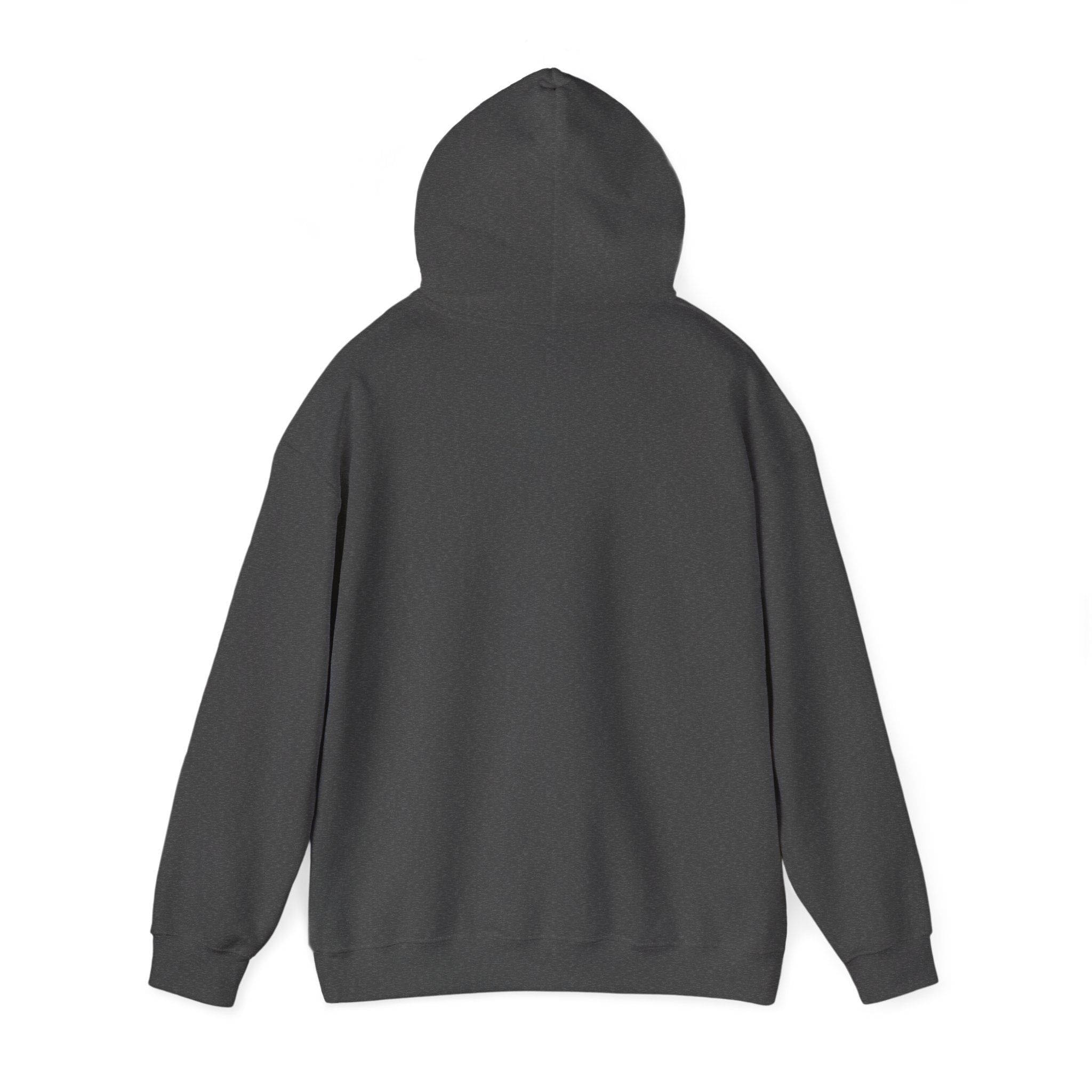 Tekapo Varsity Hoodie