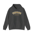 Tekapo Varsity Hoodie