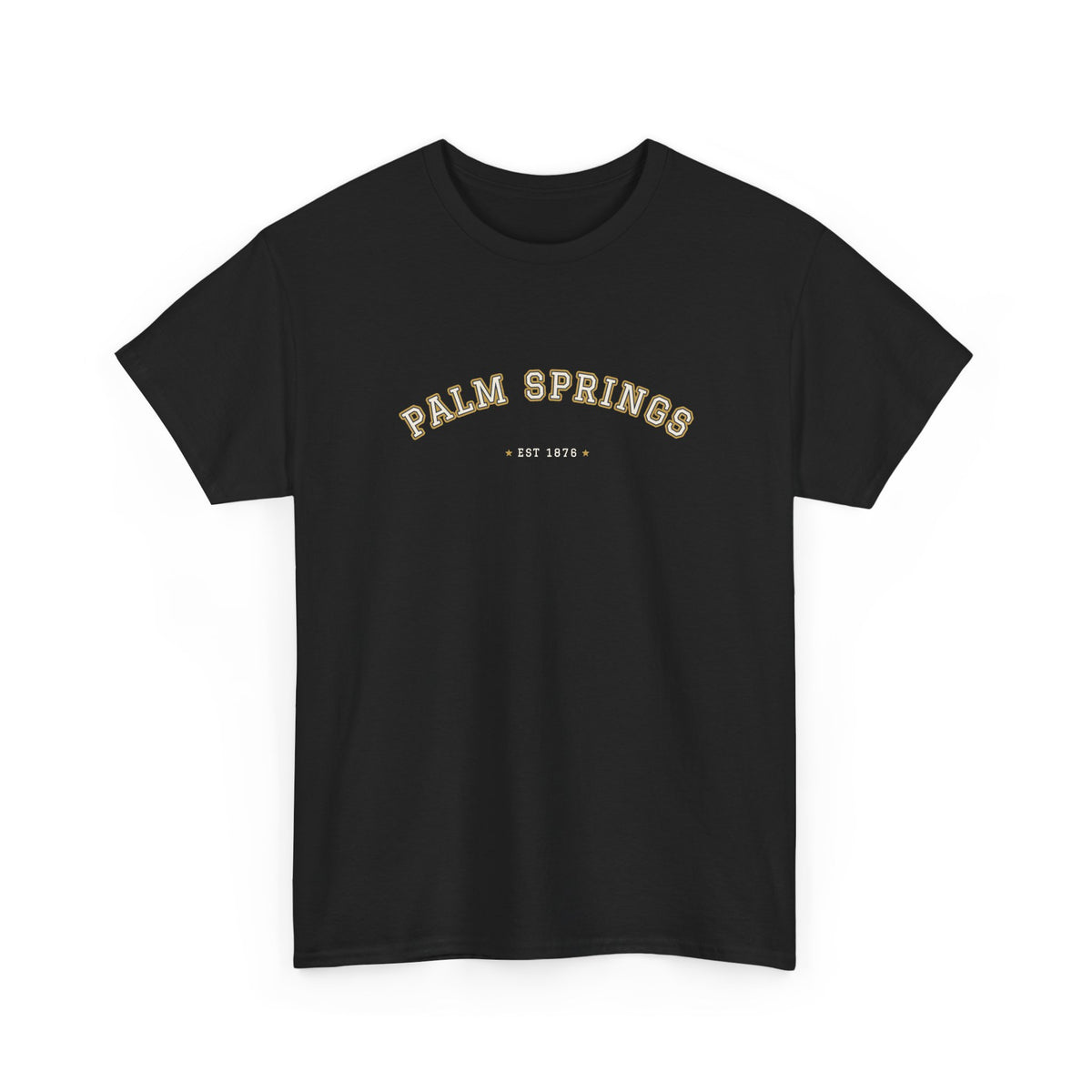 Palm Springs Varsity Tee