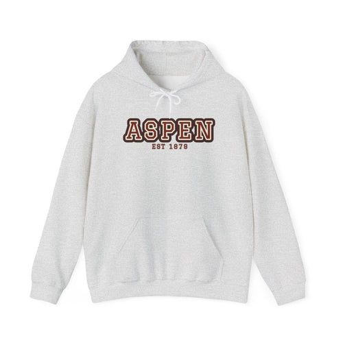 Hoodie — Ash