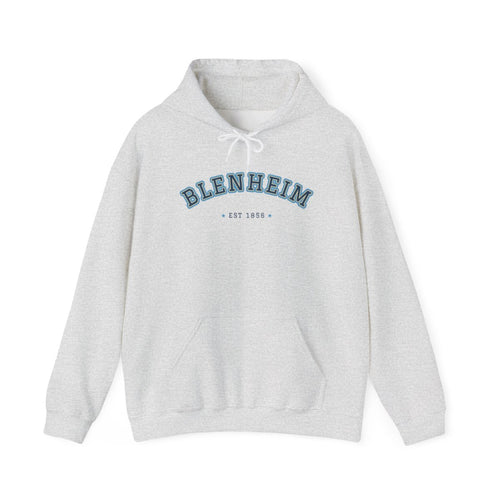 Hoodie — Ash