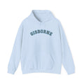 Hoodie — Light Blue