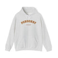 Ponsonby Varsity — Hoodie Ash