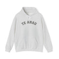 Hoodie — Ash